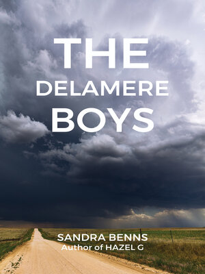 cover image of The Delamere Boys